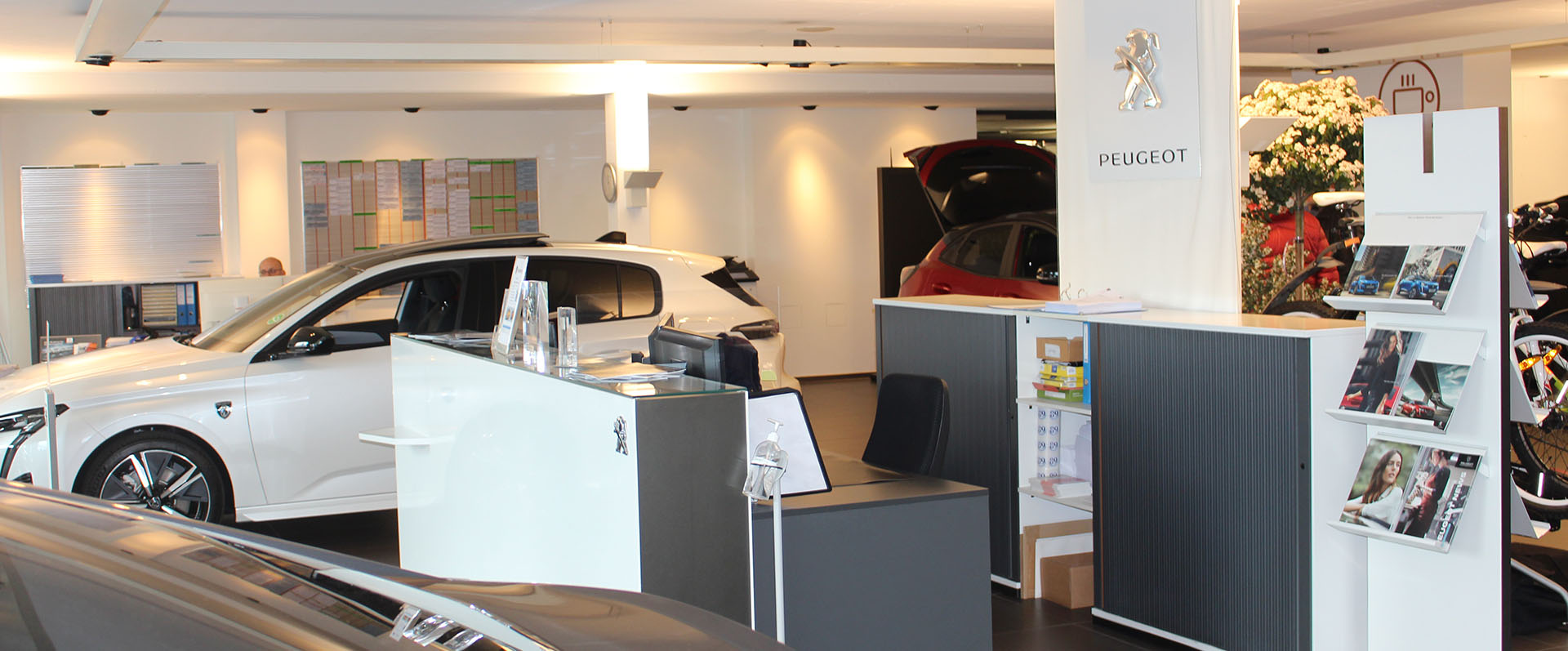 Seegarage Müller AG Header